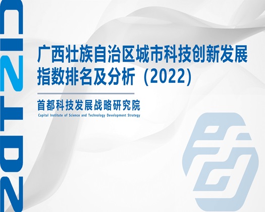 免费看日b【成果发布】广西壮族自治区城市科技创新发展指数排名及分析（2022）